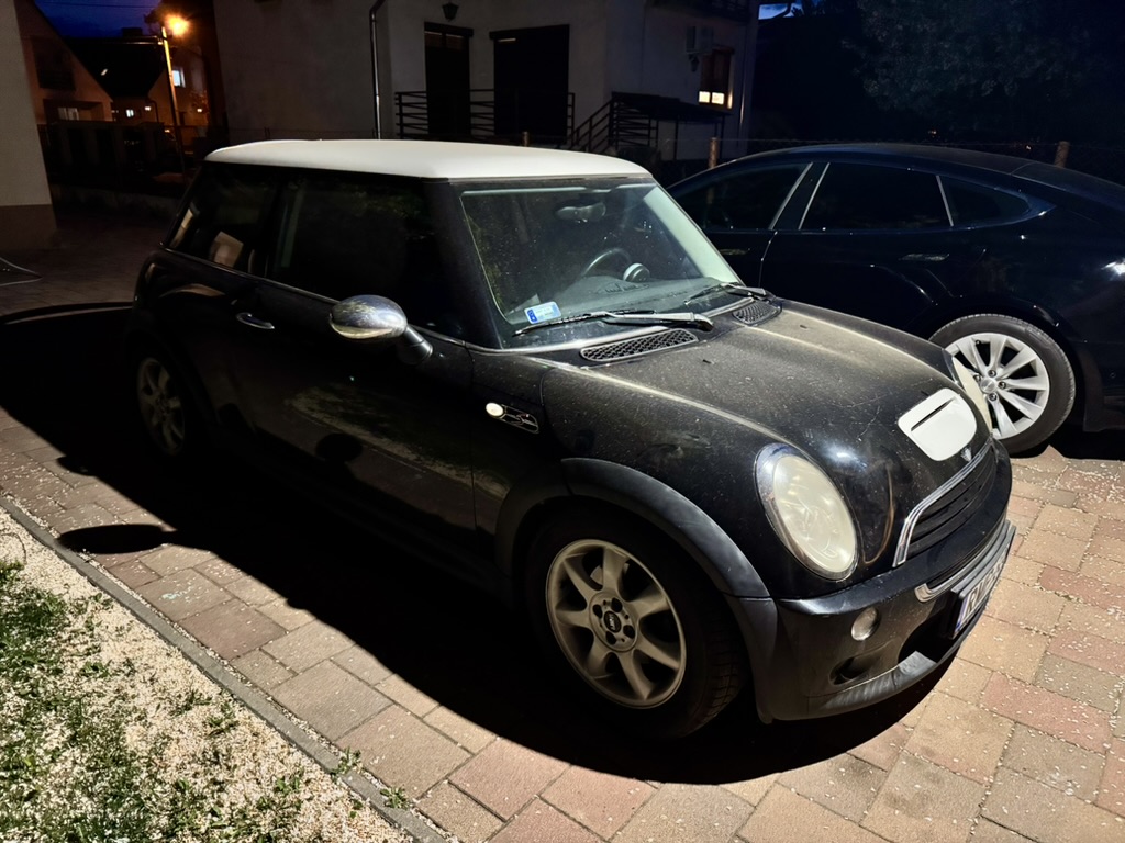 The Purchase — photo 3